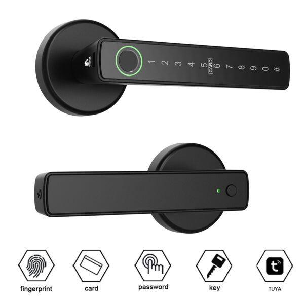 Tay nắm cửa vân tay thông minh WINFREE HC-R1