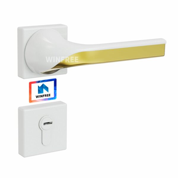 Khóa cửa tay gạt HC-333 - Ảnh 7