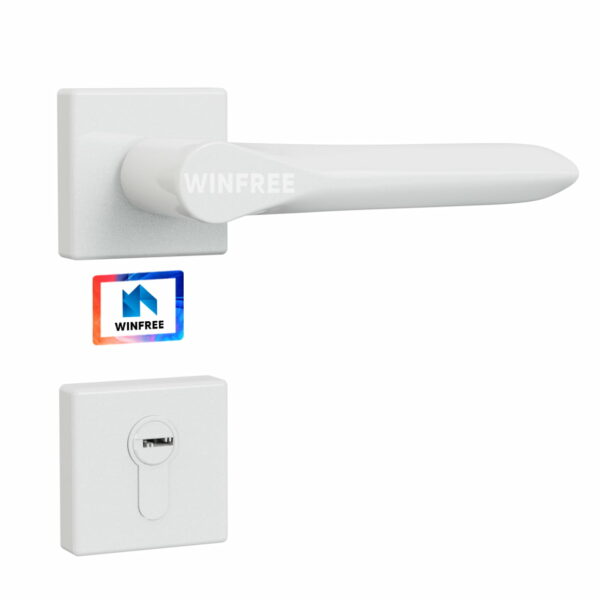 Khóa cửa tay gạt HC-102 - Ảnh 2