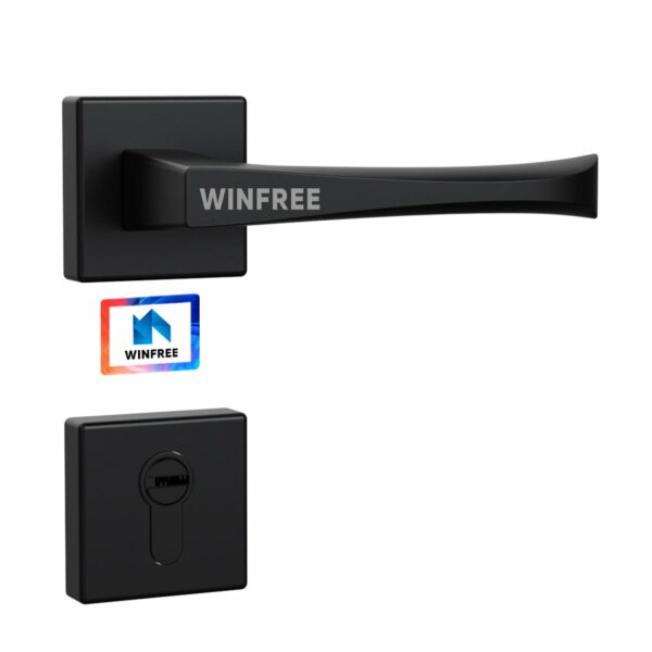 Khóa cửa tay gạt HC-101 - Ảnh 2