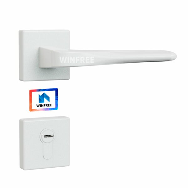 Khóa cửa tay gạt HC-107 - Ảnh 4