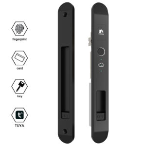 Khóa cửa trượt vân tay thông minh WINFREE HC-02Y